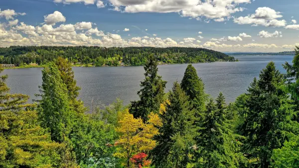 5035 NE 178th Street, Lake Forest Park, WA 98155