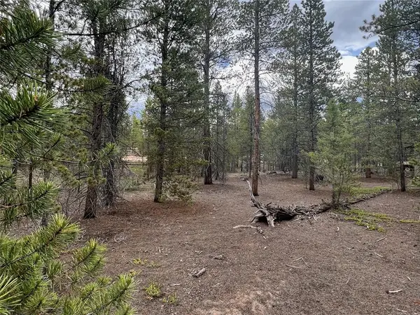 284 &amp; 340 Fir Drive, Twin Lakes, CO 81251