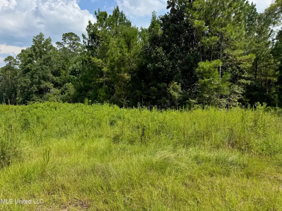 NHN Darby Lane, Carriere, MS 39426 - #3