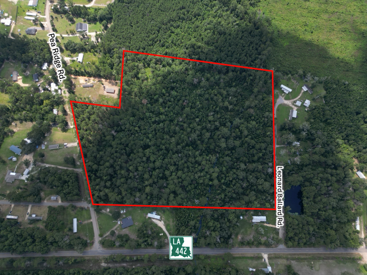 TBD Pea Ridge Rd, Albany, LA 70711 - Image #2