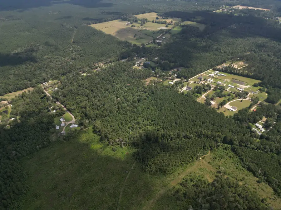 TBD Pea Ridge Rd, Albany, LA 70711 - Image #3