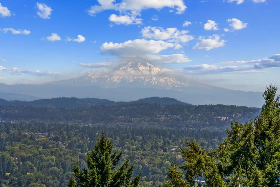 5570 SW Menefee Dr, Portland, OR 97239 - Image #3