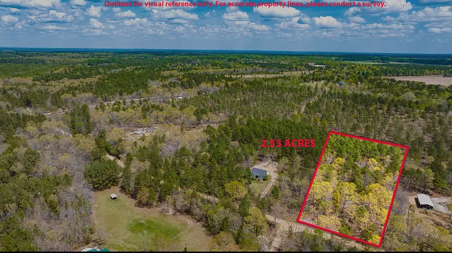 Lot 4 Bluffwood Road, Wagener, SC 29164 - #2