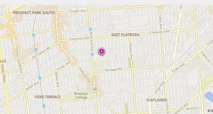 1322 New York Avenue, Brooklyn, NY 11203 - Image #2