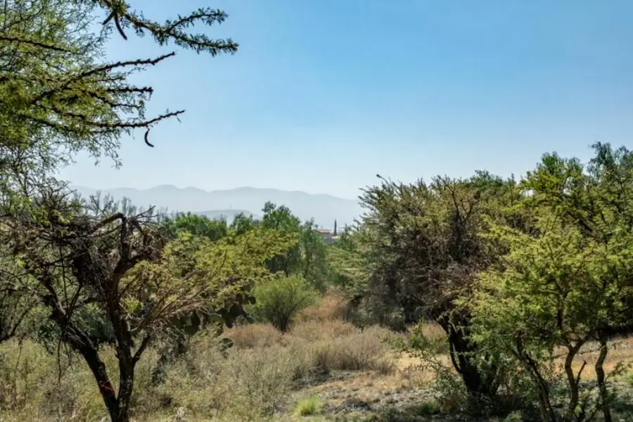 15218 E San Tan Boulevard #'_', Harrison, AZ 85298 - Image #3