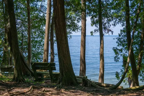 12527 Door Bluff Rd, Ellison Bay, WI 54210