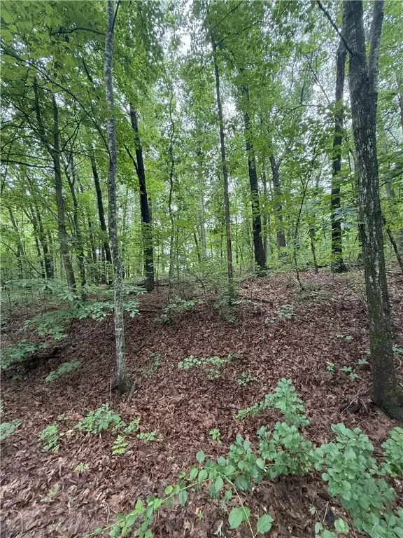 12 Shildon Circle, Bella Vista, AR 72714 - #2
