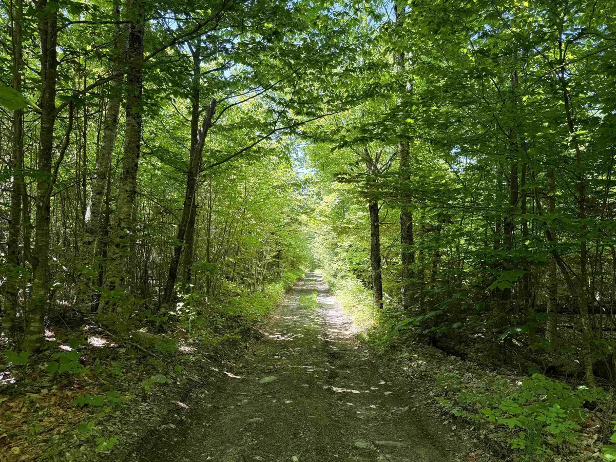 0 Georges Boulevard, East Haven, VT 05837 - #1