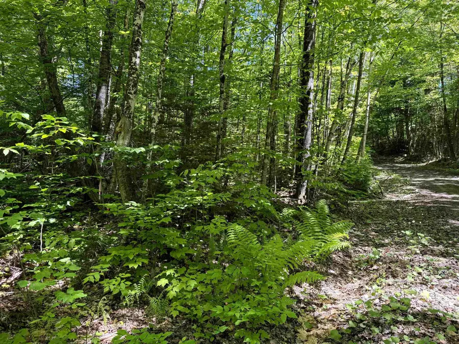 0 Georges Boulevard, East Haven, VT 05837 - #2