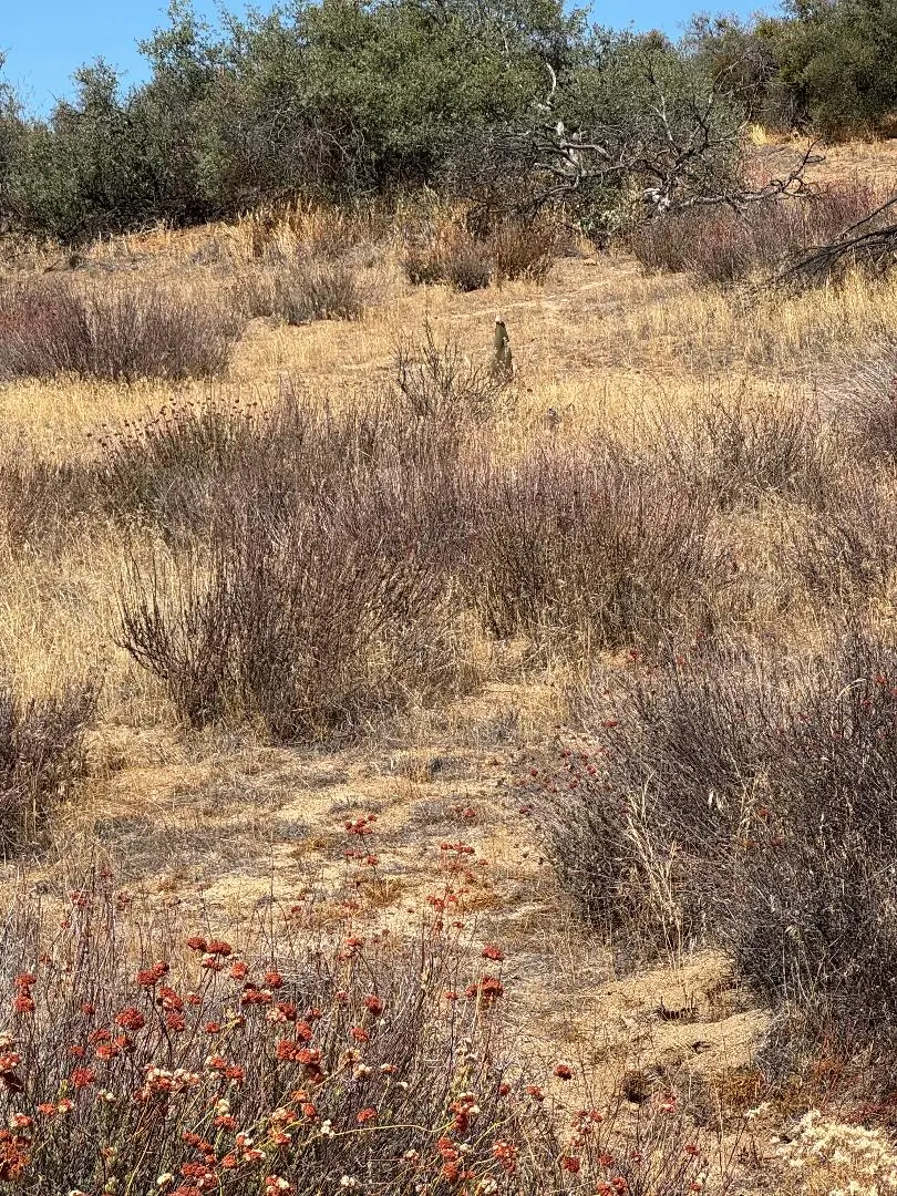 0 Kool Vista, Anza, CA 92539 - Image #1