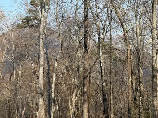 0 Hummingbird Road #275, Lake Lure, NC 28746