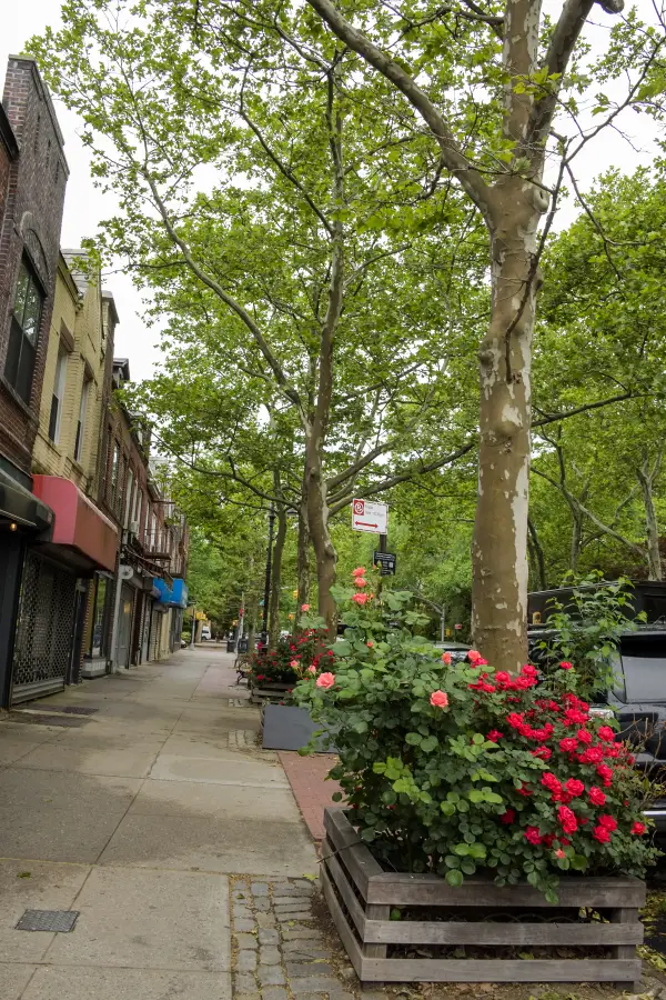41-30 46th St #3-D, Sunnyside, NY 11104