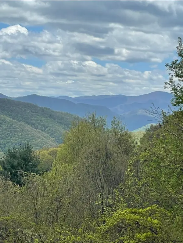0000 Jerome Lane, Leicester, NC 28748
