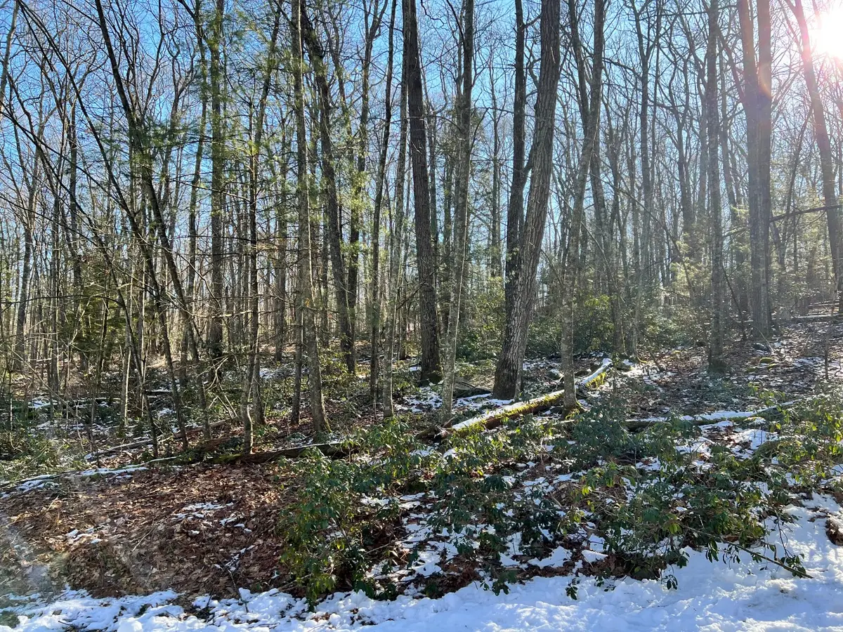 Lot 762 Mountain Snow Circle, Tafton, PA 18464 - Image #1