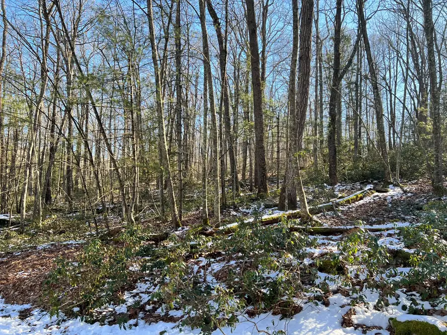 Lot 762 Mountain Snow Circle, Tafton, PA 18464 - Image #2