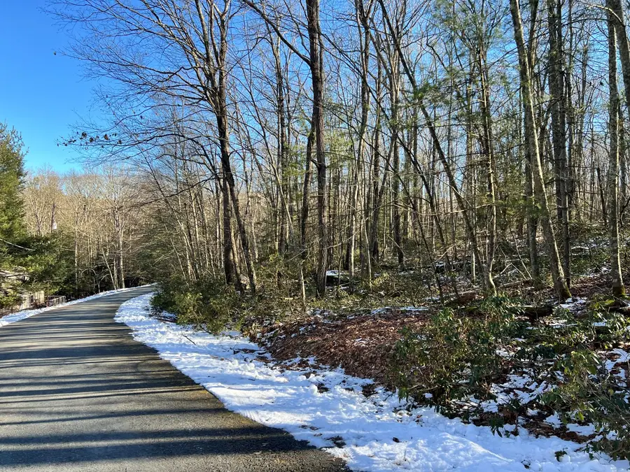 Lot 762 Mountain Snow Circle, Tafton, PA 18464 - Image #3