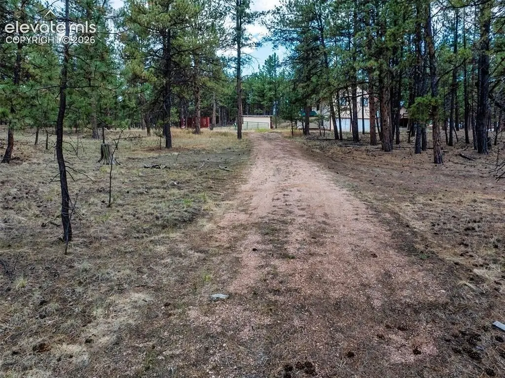 41 Ingels Dr, Florissant, CO 80816 - #1