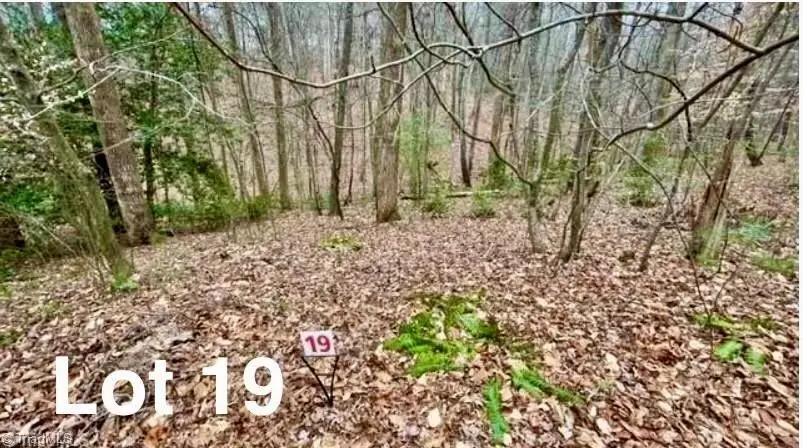 LOT 19 Woods Haven Lane, Stuart, VA 24171 - #1
