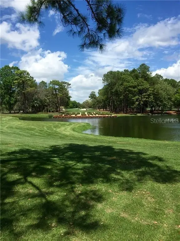 36750 US HIGHWAY 19 N #2879, Palm Harbor, FL 34684 - Image #3