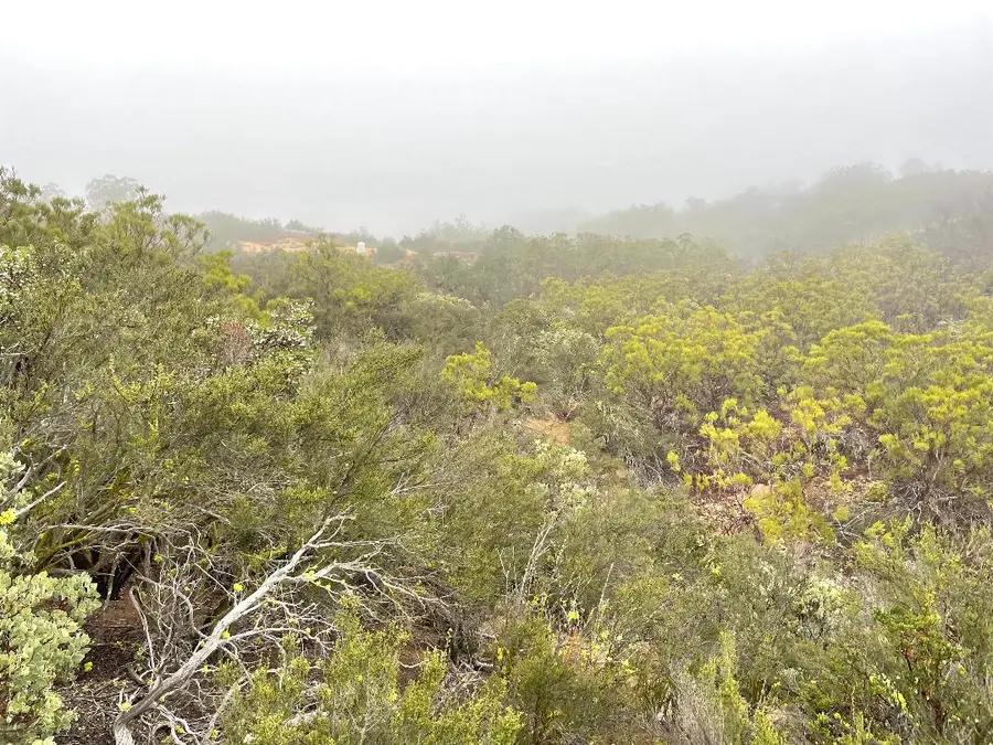 0 Quartz, Anza, CA 92539 - Image #3