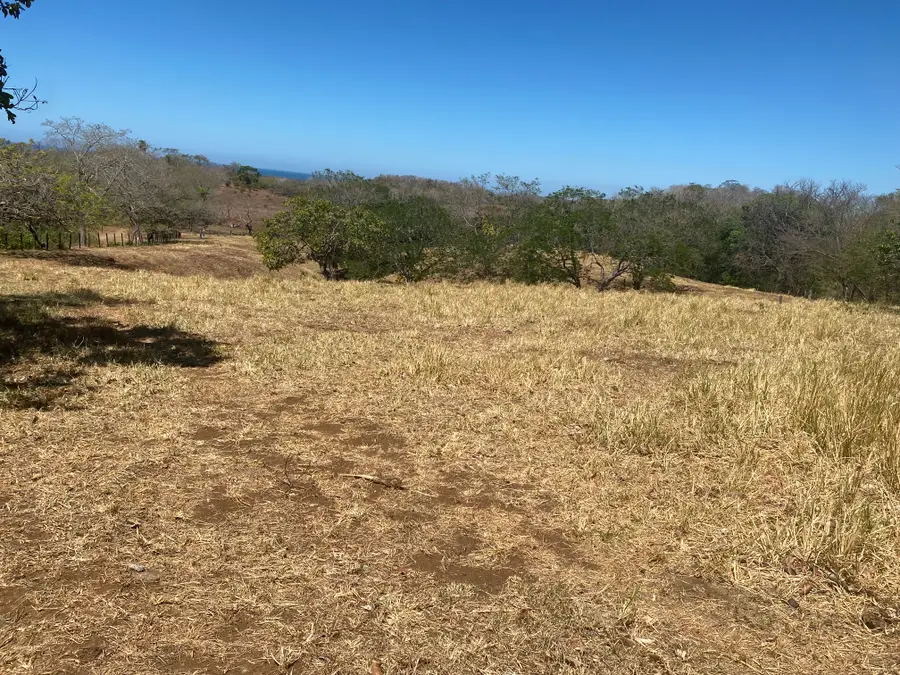 TBD (+/-4.32ac) Penn St, Henderson, TX 75654 - #2