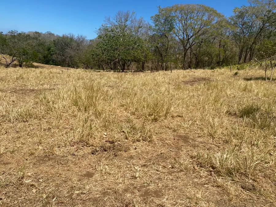 TBD (+/-4.32ac) Penn St, Henderson, TX 75654 - #3