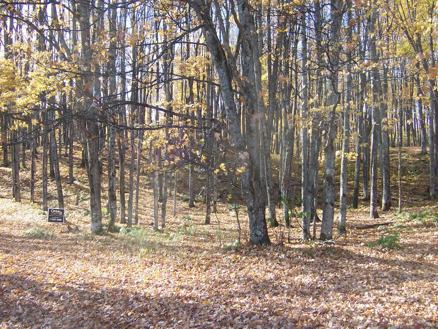 2468 Boat Landing Rd, Haight, MI 49912 - Image #2