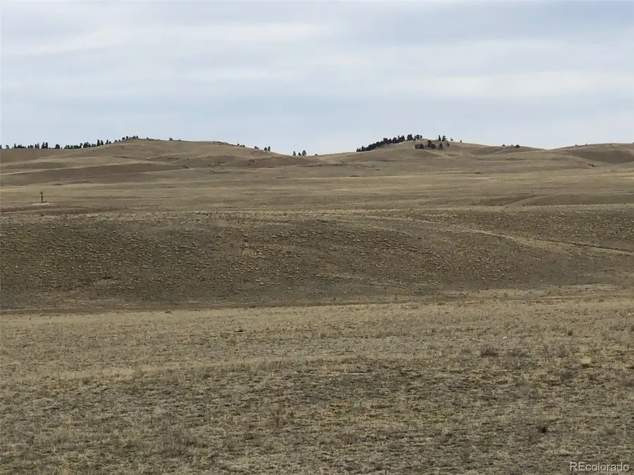 758 Black Beaver Circle, Hartsel, CO 80449 - #3