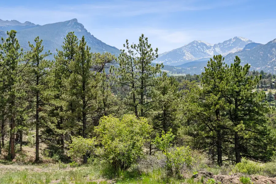 42 Governors Ln, Estes Park, CO 80517 - #3