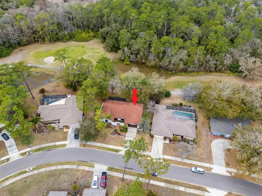 2240 Toniwood Lane, Palm Harbor, FL 34685 - #2