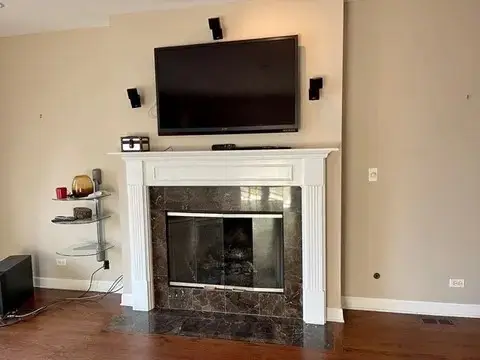 1914 S Morgan Street S, Chicago, IL 60608 - #3