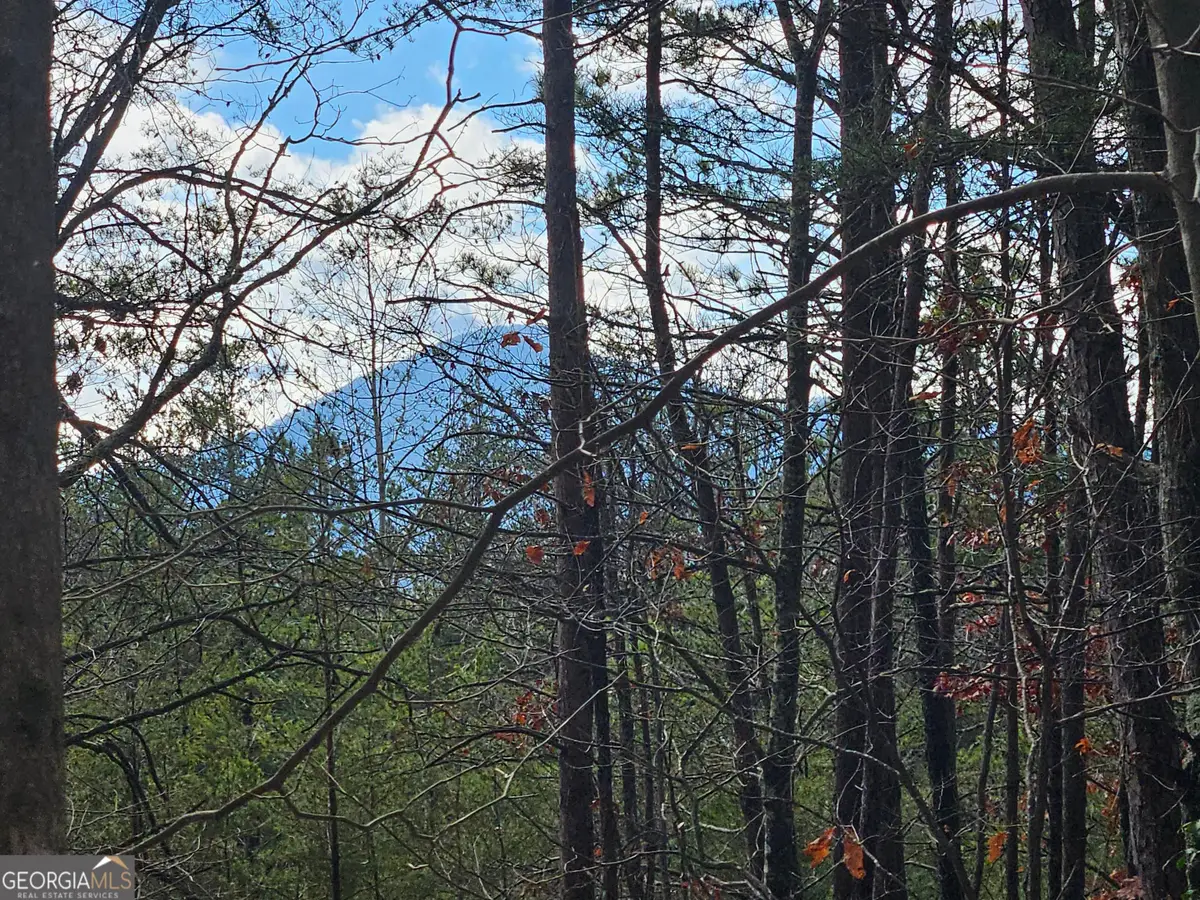 0 Rosen Strasse, Helen, GA 30545 - Image #1