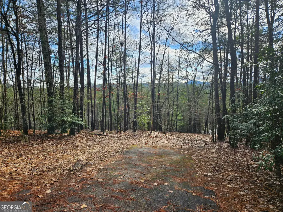 0 Rosen Strasse, Helen, GA 30545 - Image #2