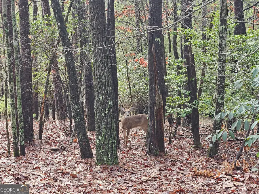 0 Rosen Strasse, Helen, GA 30545 - Image #3