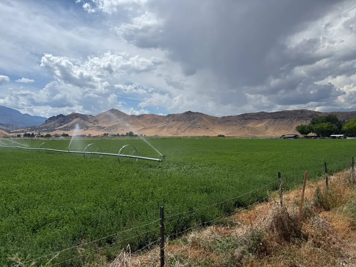 Address Withheld By Seller, Penrose, UT 84730 - #1