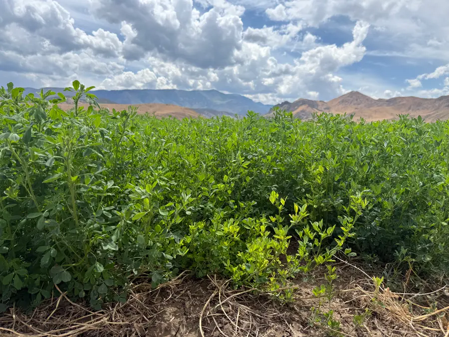 Address Withheld By Seller, Penrose, UT 84730 - #2