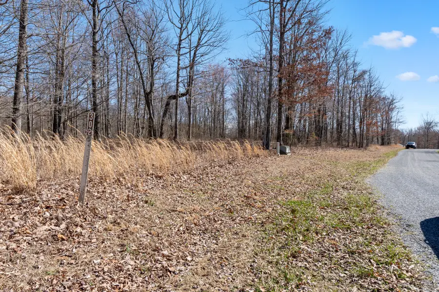 0 Roaring Creek Road #296, Dunlap, TN 37327 - Image #2