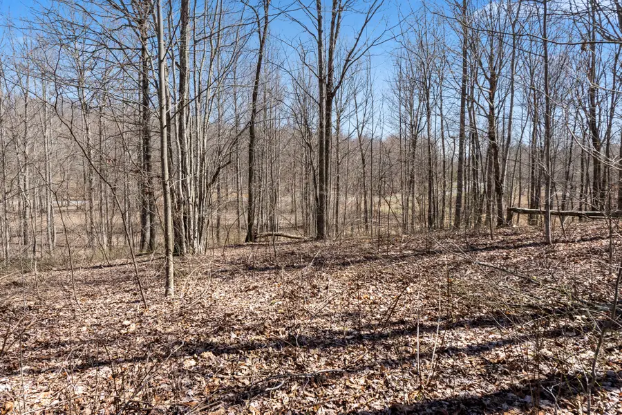 0 Roaring Creek Road #296, Dunlap, TN 37327 - Image #3