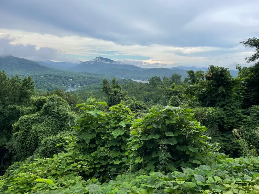 0 Clear Creek Trail #31, Lake Lure, NC 28746 - Image #2