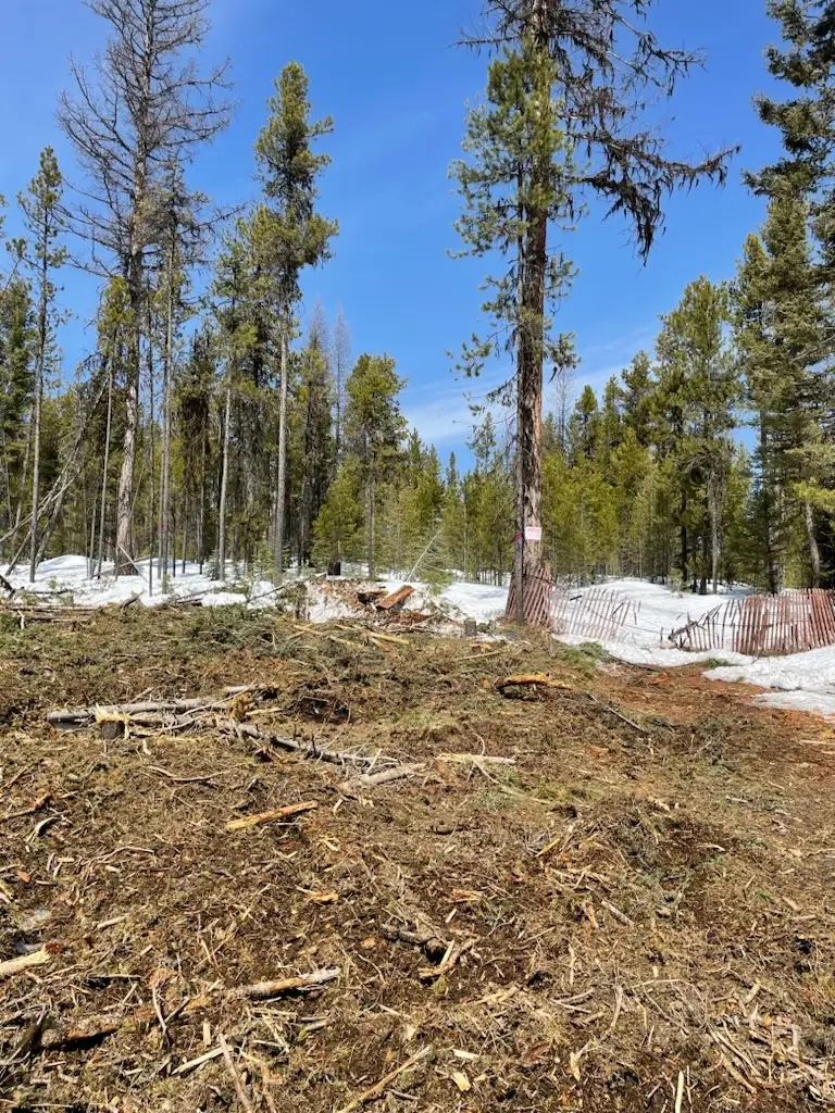 NKA Dirty Ike Road, Clinton, MT 59825 - Image #1