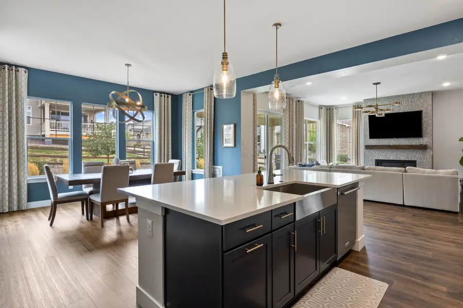 4616 Girardot Point, Castle Rock, CO 80104 - #2