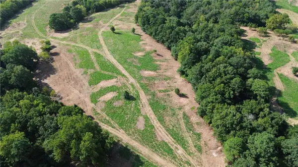 1029 Bear Hollow Road, Pineville, MO 64856