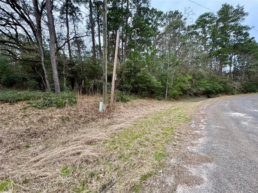 LOT 93 Whisperwood Drive, Onalaska, TX 77360 - Image #2