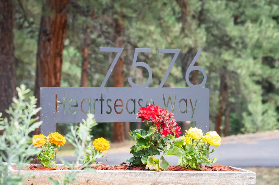 7576 Heartsease Way, Evergreen, CO 80439 - #2