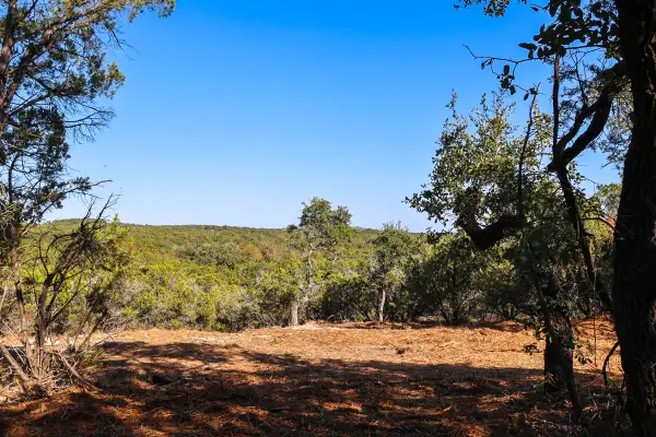 3101 - 1 Longhorn Trl, Wimberley, TX 78676