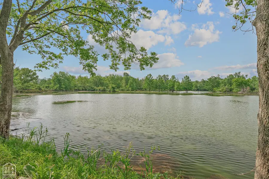 3337 E County Road 70, Blytheville, AR 72315 - Image #3