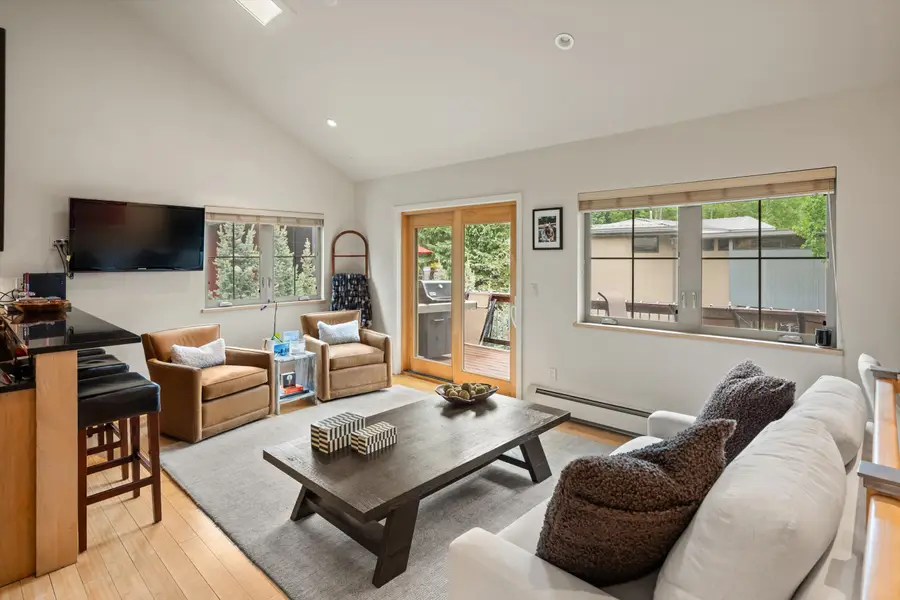 322 Park Avenue, Aspen, CO 81611 - #3