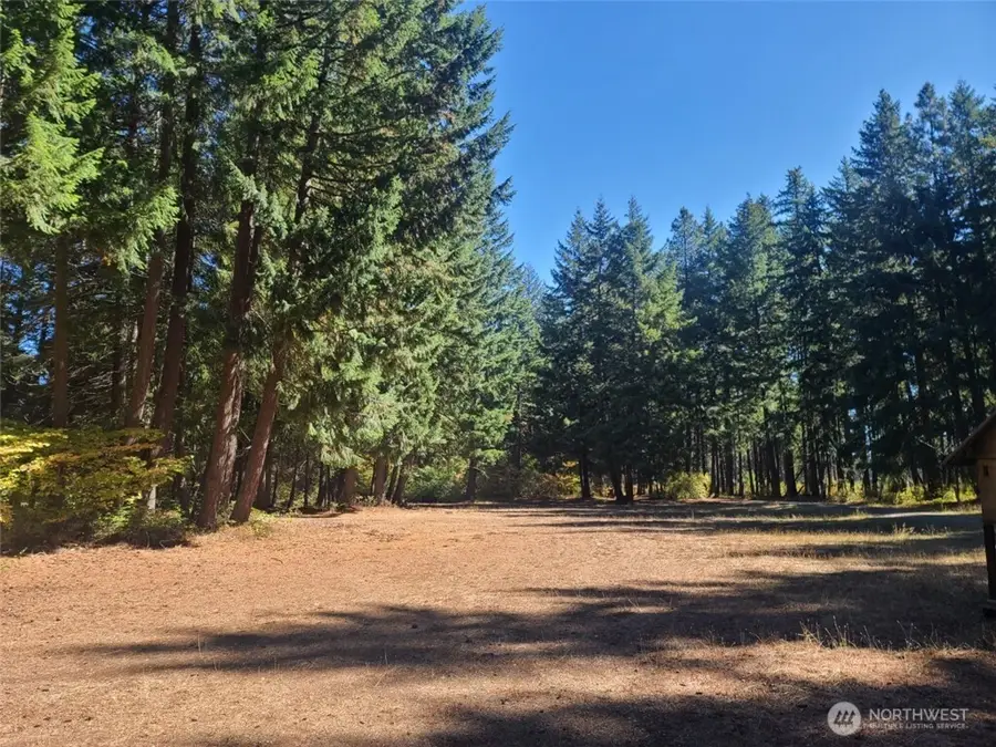 551 Pioneer Trail, Cle Elum, WA 98922 - #3