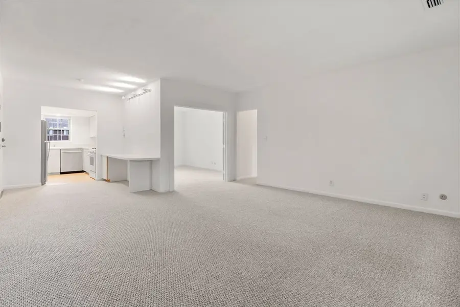 132 Lake Shore Road #4, Boston, MA 02135 - Image #3