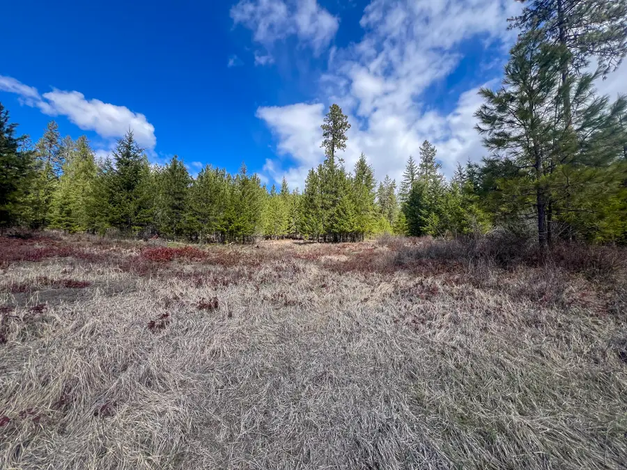 7XX Old Arden Hwy, Colville, WA 99114 - Image #2